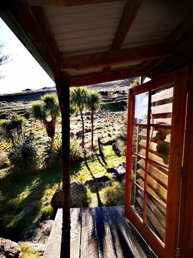 Manaaki Mai, Rustic Retreat Bush Cabin Christchurch Exteriér fotografie