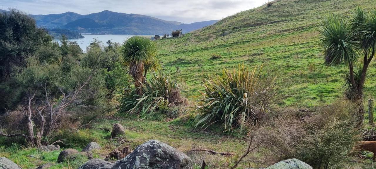 Manaaki Mai, Rustic Retreat Bush Cabin Christchurch Exteriér fotografie